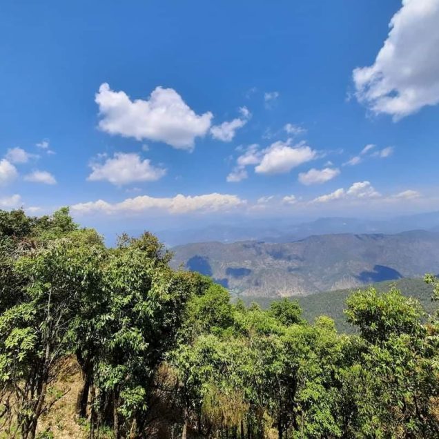 Nature View