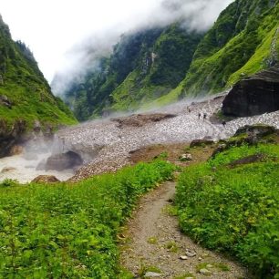 Nature