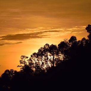 Sunset View